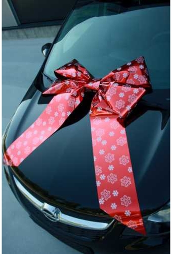 Magnum Autostrik Livorno Rood Snow Flake Print Wit 70x50+60cm
