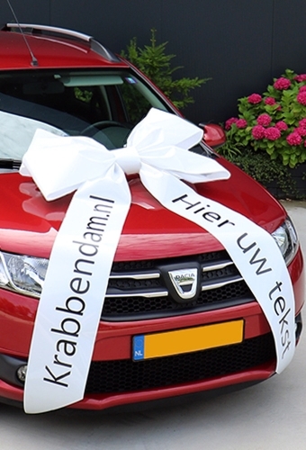 Magnum Autostrik Livorno Wit Bedrukt Met Tekst 90x60+100cm