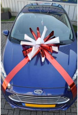 Magnum Bows Maxi Strik Dubbele Kleuren d60x105cm 20 Lussen