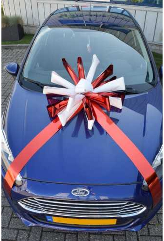 Magnum Bows Maxi Strik Dubbele Kleuren d60x105cm 20 Lussen