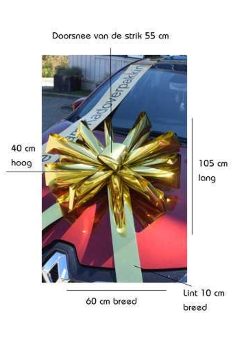 Magnum Bows Maxi Strik Dubbele Kleuren d60x105cm 20 Lussen