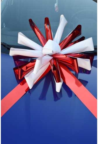 Magnum Bows Maxi Strik Dubbele Kleuren d60x105cm 20 Lussen