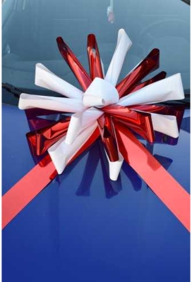 Magnum Bows Maxi Strik Dubbele Kleuren d60x105cm 20 Lussen