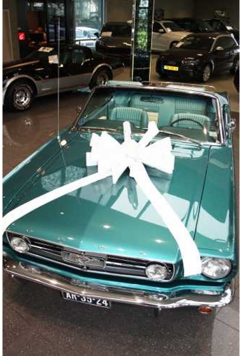 Magnum Bows Maxi Strik Glanzend Wit Strik d60x105cm 20 Lussen
