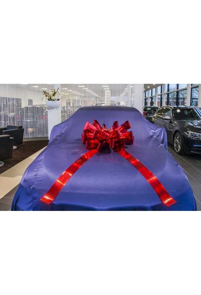 Magnum Bows Maxi Strik Metallic Blauw Strik d60x105cm 20 Lussen