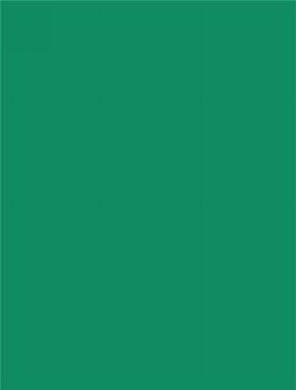 Kleur Katoenen Tas Groen 14 pms 356