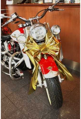 Magnum Motorstrik Prato Metallic Goud Strik 45x35+50cm Autostrik