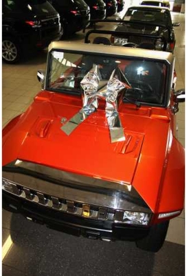 Magnum Motorstrik Prato Metallic Zilver Strik 45x35+50cm Autostrik
