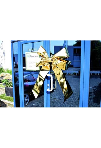 Magnum Strik Deur Livorno Metallic Goud Strik 70x50+60cm