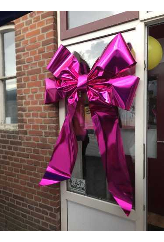 Magnum Strik Deur Livorno Metallic Pink Strik 70x50+60cm