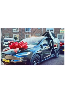 Megastrik Autostrik Toronto Rood 86x103cm