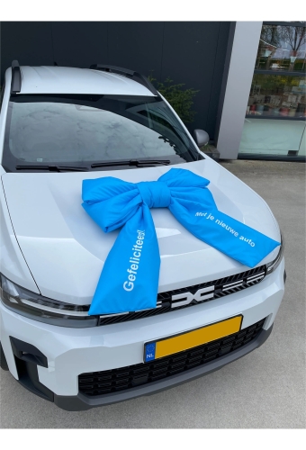 Megastrik Dubbel Lucca Gefeliciteerd Blauw 77x50+40cm & Zuignap