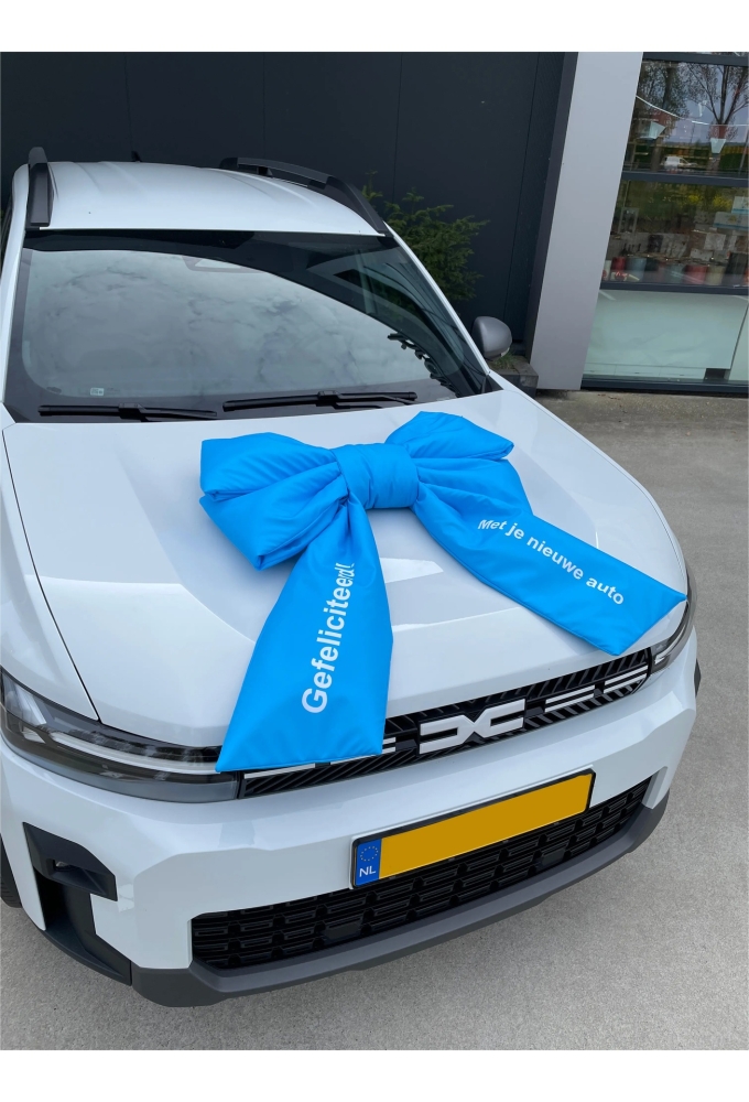 Megastrik Dubbel Lucca Gefeliciteerd Blauw 77x50+40cm & Zuignap