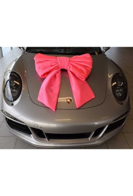 Megastrik Dubbel Pink Lucca 77x50+40cm & Zuignap lint 25cm