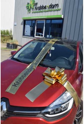 Magnum Lint Metallic Goud 20 cm 10 meter