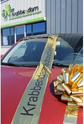 Magnum Lint Metallic Goud 20 cm 10 meter