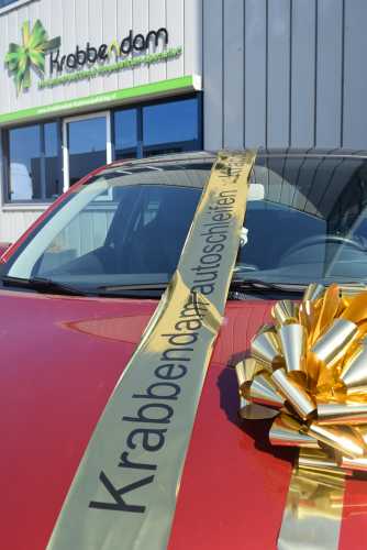 Magnum Lint Metallic Goud 20 cm 10 meter