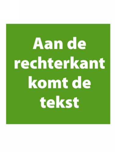 aan de rechterkant komt de tekst