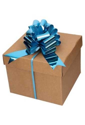 Strik Aqua Blauw Metallic Doorsnee 15cm lint 5cm 1stuks