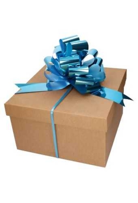Strik Aqua Blauw Metallic Doorsnee 27cm lint 6.8cm 1stuks