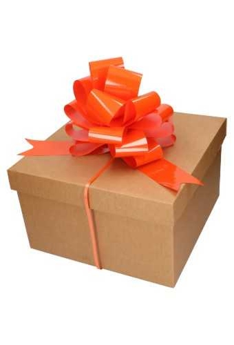 Strik Oranje Lak Doorsnee 27cm lint 6.8cm 1stuks