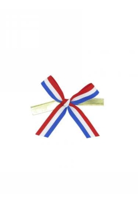 Strikje Satijn Nederland Met Clip 4.5x4.5cm 300stuks