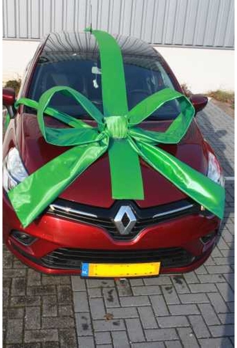 Super Autostrik Salerno Groen 120x100x50cm Met Lint En Zuignap