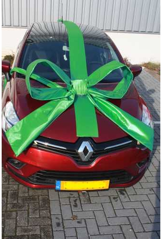 Super Autostrik Salerno Groen 120x100x50cm Met Lint En Zuignap