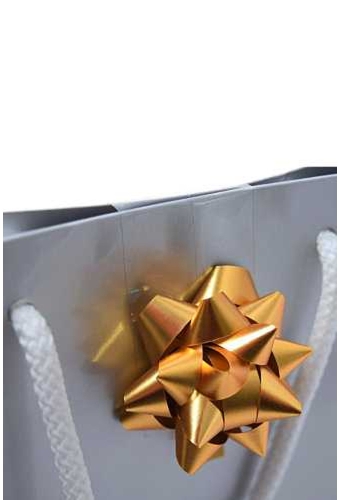 Tassensluiter 2x Mini Bows R50mm Metallic Mat Goud 50stuks