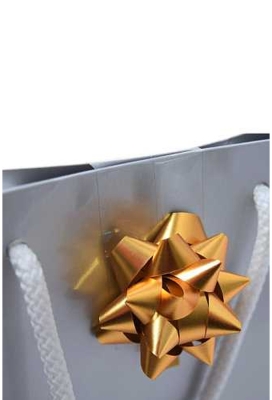 Tassensluiter 2x Mini Bows R50mm Metallic Mat Goud 50stuks