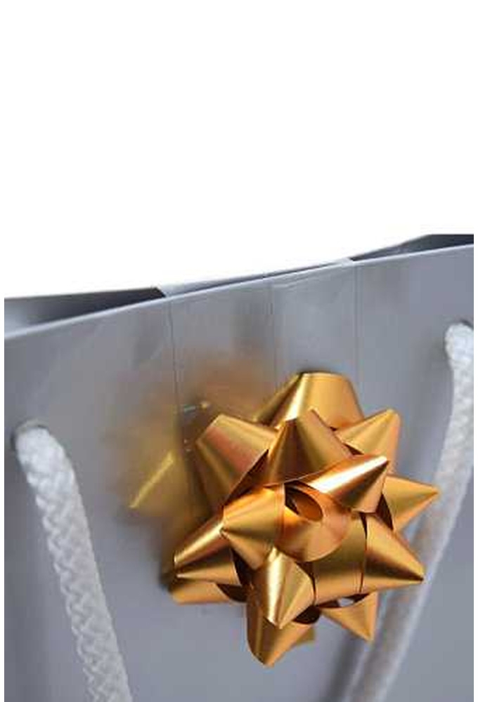 Tassensluiter 2x Mini Bows R50mm Metallic Mat Goud 50stuks