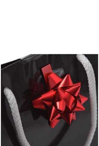 Tassensluiter 2x Mini Bows R50mm Metallic Mat Rood 50stuks