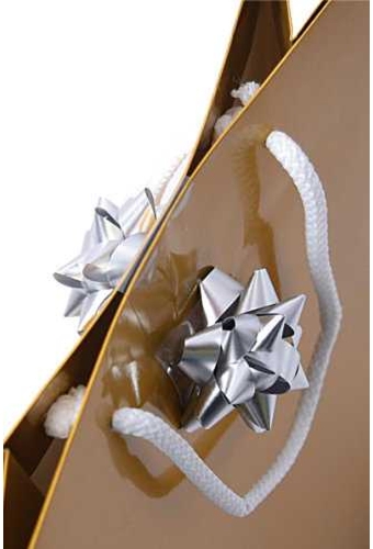 Tassensluiter 2x Mini Bows R50mm Metallic Mat Zilver 50stuks