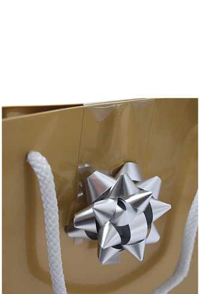 Tassensluiter 2x Mini Bows R50mm Metallic Mat Zilver 50stuks