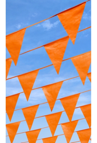 Vlaggenlijn Oranje 20x30cm lengte 10 meter