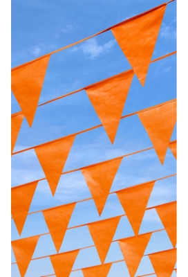 Vlaggenlijn Oranje 20x30cm lengte 10 meter