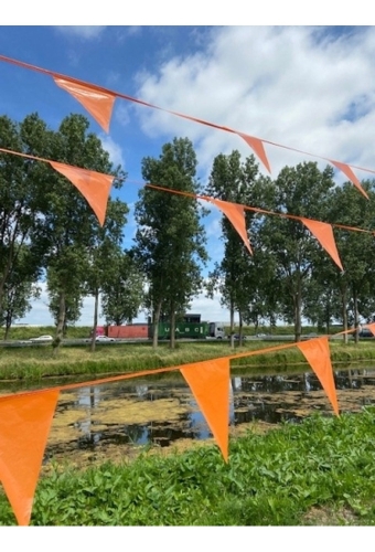 Vlaggenlijn Oranje 20x30cm lengte 10 meter