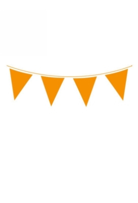 Vlaggenlijn Oranje 20x30cm lengte 10 meter