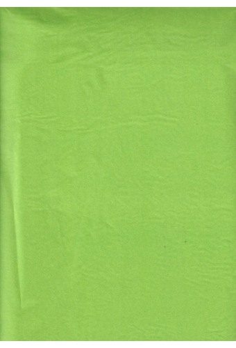Zijdevloei - Vloeipapier Onbedrukt Licht Groen 50x75cm 240 vellen