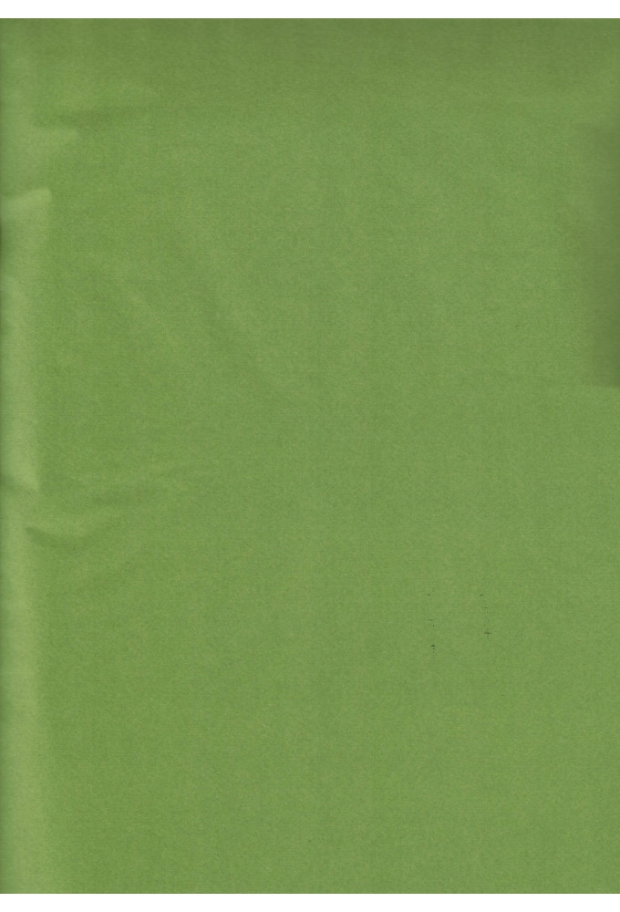 Zijdevloei - Vloeipapier Onbedrukt Mos Groen 50x75cm 240 vellen
