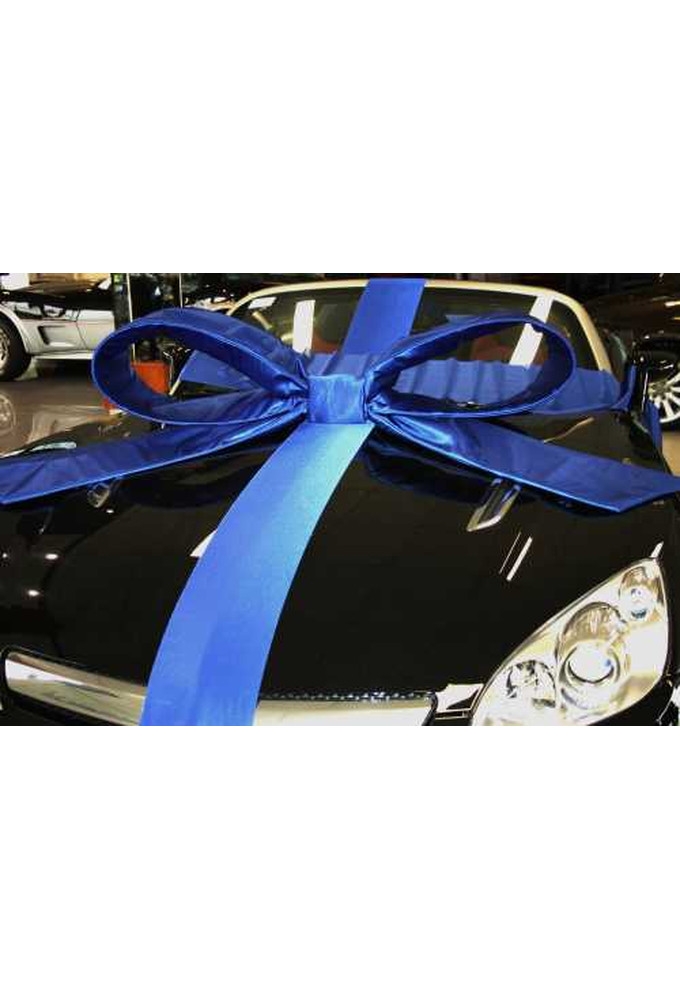 Super Autostrik Salerno Blauw 120x100x50cm Met Lint En Zuignap