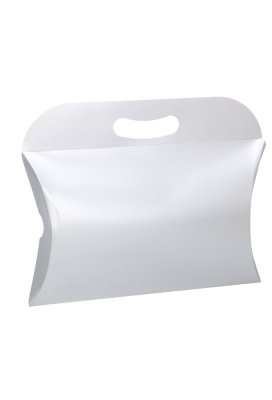 Gondeldoos Met Handgreep Zilver 24x19x4cm 250gr 25stuks OP IS OP