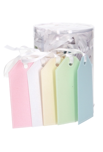 Kadokaartje Pastel Kleuren Assortie Blanco & Koord 4.5x8.5cm 100stuks