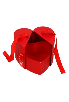 Flowerbox Koffer Hartje Rood Met Sluiting & Lint 1 stuk