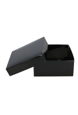 Geschenkdoos & Deksel Gaby Zwart Blinkend 25x20x5cm 50stuks