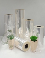 Transparante Folie 40 x 60 cm 30mu 2000 vellen OP IS OP Transparante Folie 40 x 60 cm 30mu 2000 vellen OP IS OP