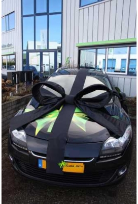 Super Autostrik Salerno Zwart 120x100x50cm Met Lint En Zuignap