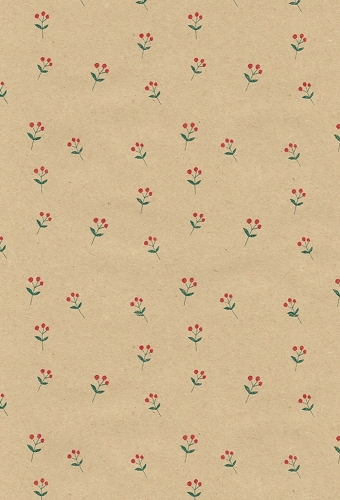 Kadopapier Consumentenrollen Flower Kraft 70cm x 2meter 1stuks