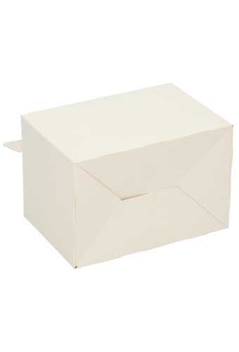 Draagdoos Lunchbox Budget Wit 15.2x10x10.2cm 225stuks