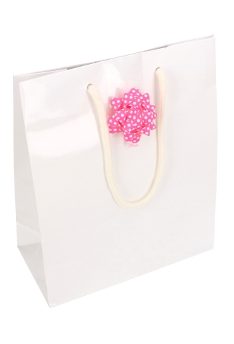 Tassensluiter 2x Mini Bows R50mm Dots Roze Met Plakker 50stuks